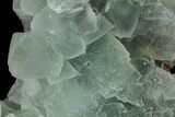 Wide Plate Of Green Fluorite Crystals #76541-2